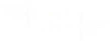 SSI Logo